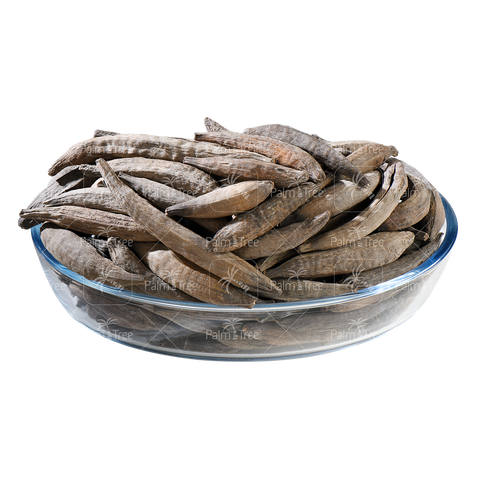 Marathi Moggu / Kapok Buds