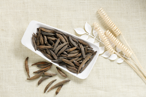 Marathi Moggu / Kapok Buds