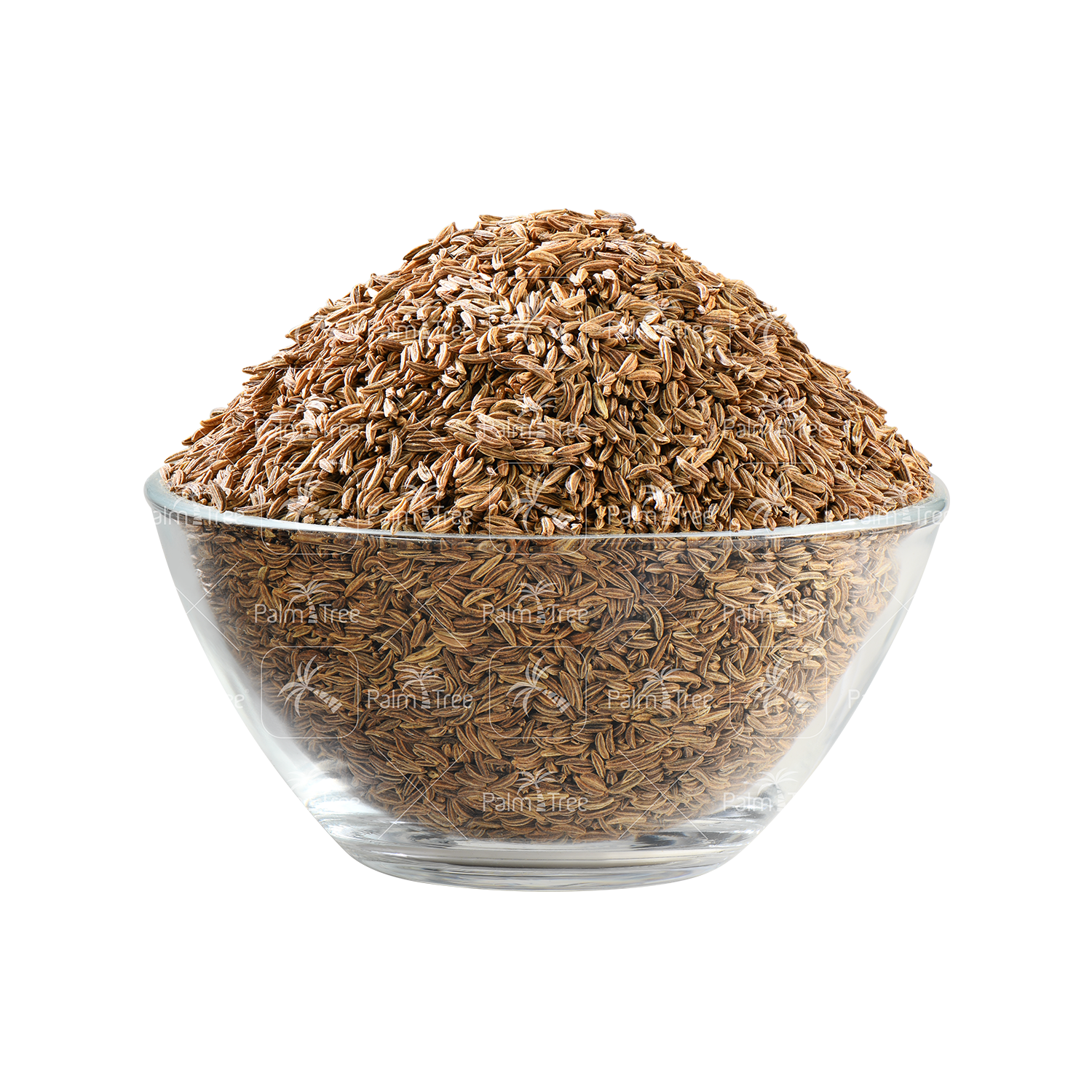 sha-jeera-caraway-seeds-palmtreeshopping