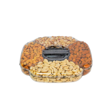 Premium Palm Tree Nuts Gift Box 1230 GM |AC170BMN5