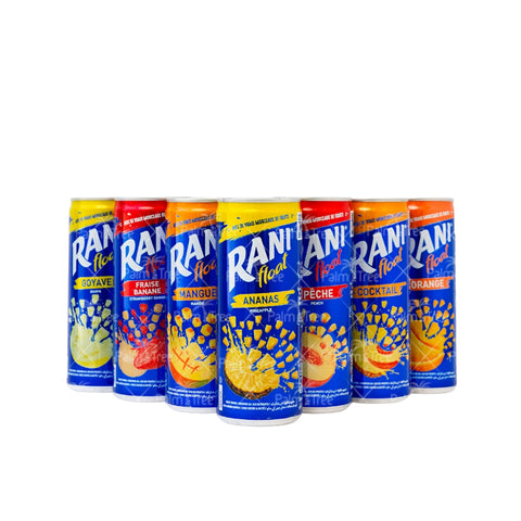 Rani Float 240ml – Real Fruit Chunks in Every Sip | Orange, Mango, Pineapple & More