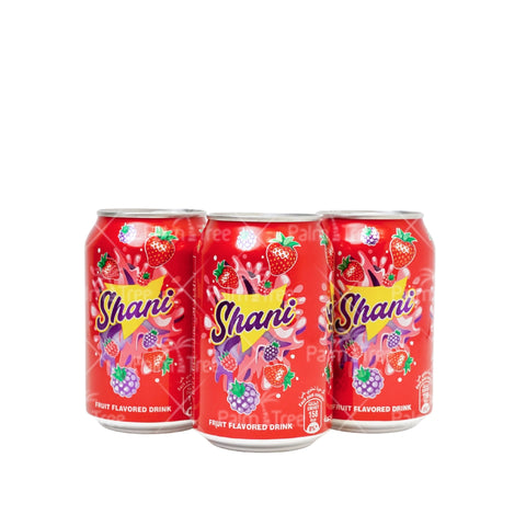 Shani Fruit Flavoured Drink 300ml Imported – Refreshing Fruity Soft Drink