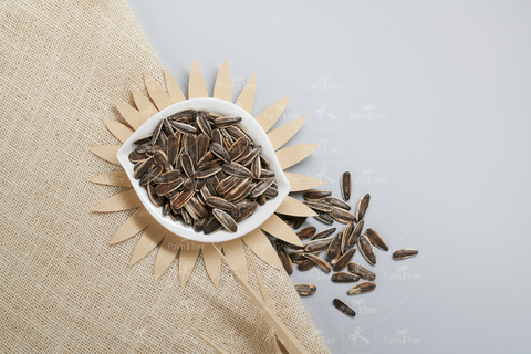 plant sunflower seeds in shell Sunflower Seed With Shell – palmtreeshopping