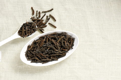 VANTHIPPILI / LONG PEPPER / PIPPALI